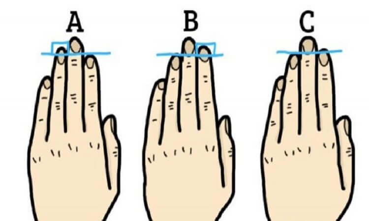 Длина пальцев может многое рассказать о человеке
