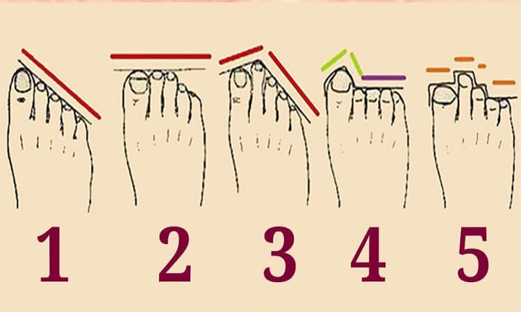 Характер по форме пальцев ног