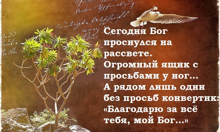 Нереально Красивое стихотворение: «Сегодня Бог проснулся на рассвете…»