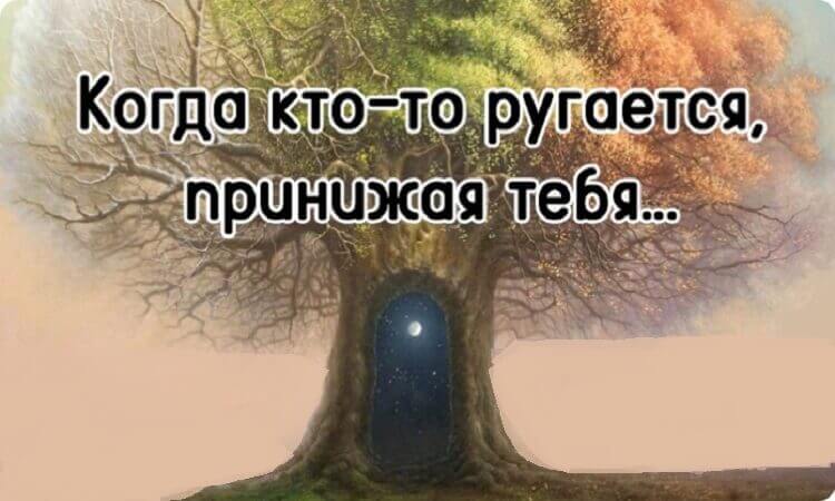 Замечательные слова: «Когда кто-то ругается, принижая тебя…»