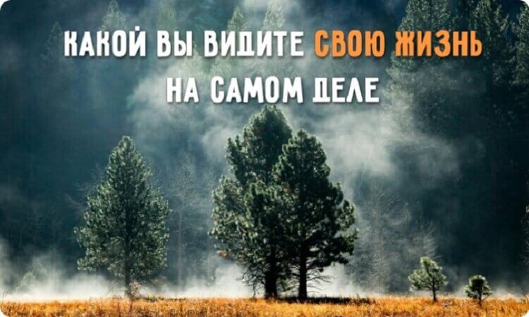 Этот легкий тест покажет, какой вы видите свою жизнь на самом деле