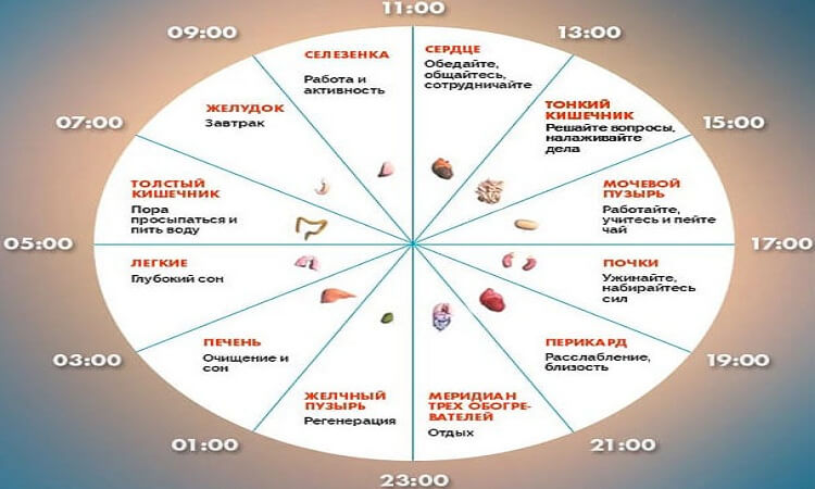 Если не спится в одно и то же время, организм просит помощи