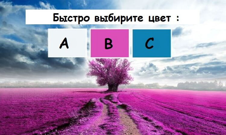 Это тест по цветам расскажет о вашей личности правду!