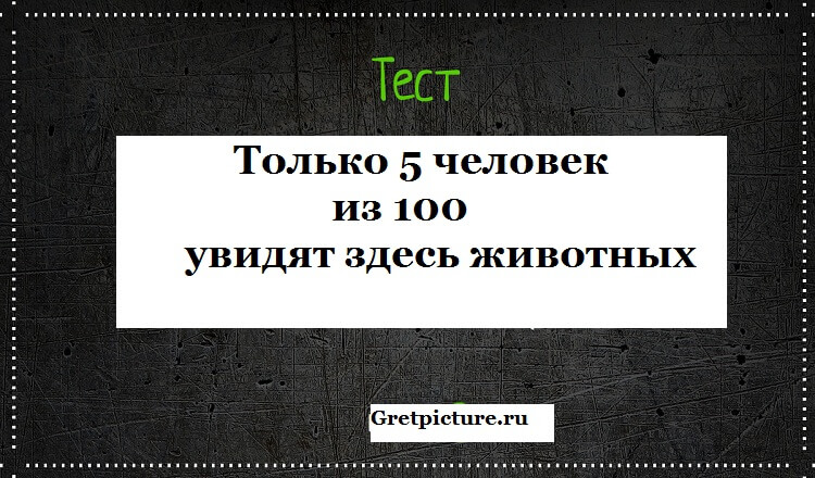 Тест: только 5 человек из 100 увидят здесь животных