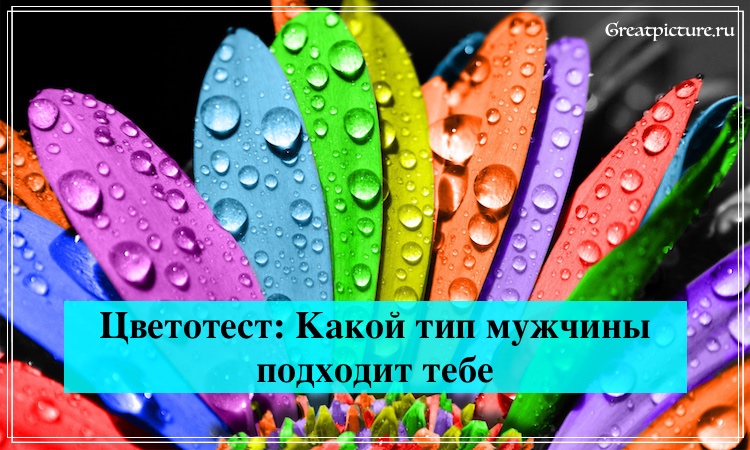 цветотест какой тип мужчины