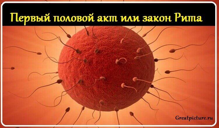Первый половой акт или закон Рита