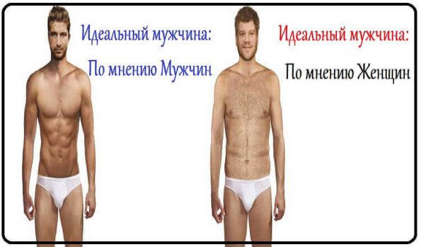 Самая красивая женская фигура по мнению мужчин опрос Самая красивая женская фигура по мнению мужчин опрос