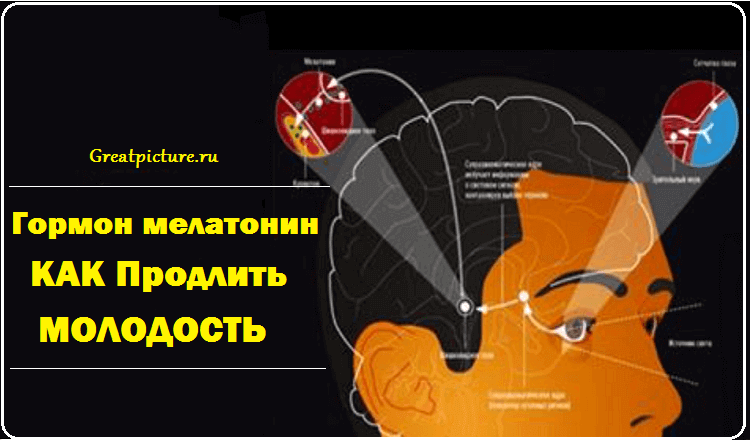 Гормон мелатонин — секрет молодости и долгой жизни!