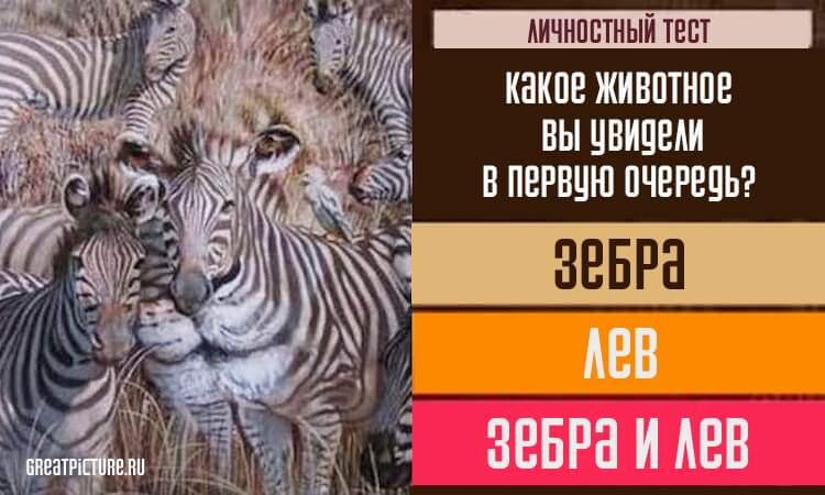 Какое животное бросилось в глаза первым? Ответ покажет ваши взгляды на жизнь!