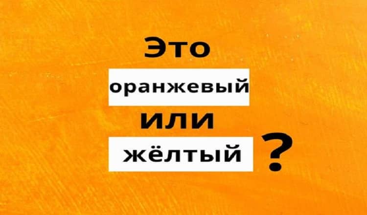 Этот цветотест определит, какой у вас тип интеллекта