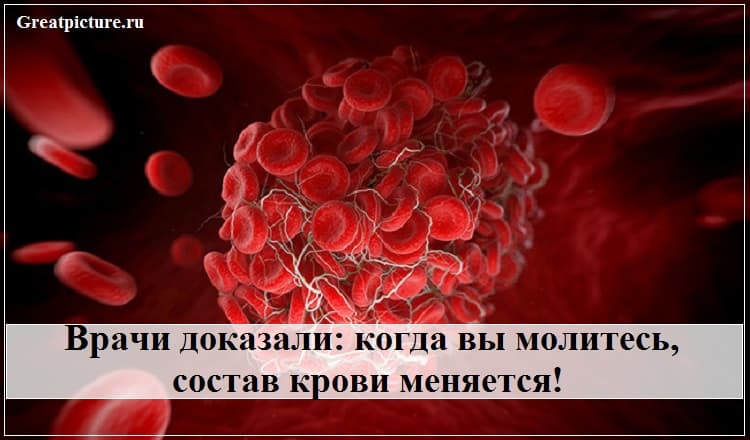 Врачи доказали: когда вы молитесь, состав крови меняется!