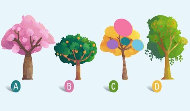 Выберите дерево и узнайте слово, которое характеризует вас!
