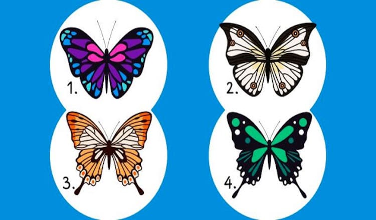 Тест: Выберите бабочку и узнайте тайны своей души