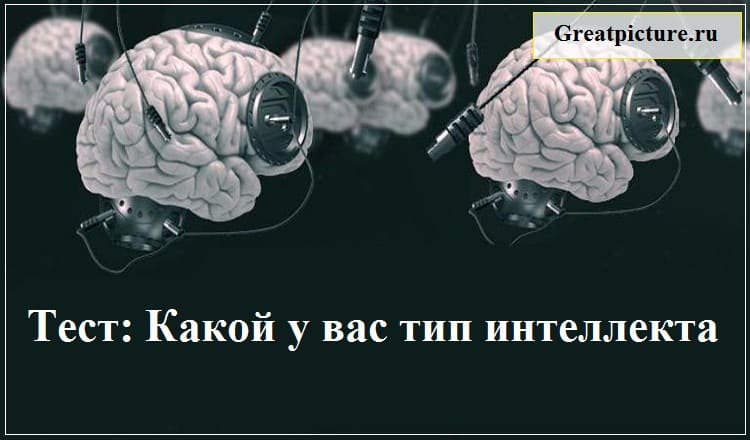 Тест: Какой у вас тип интеллекта - Узнайте прямо сейчас !