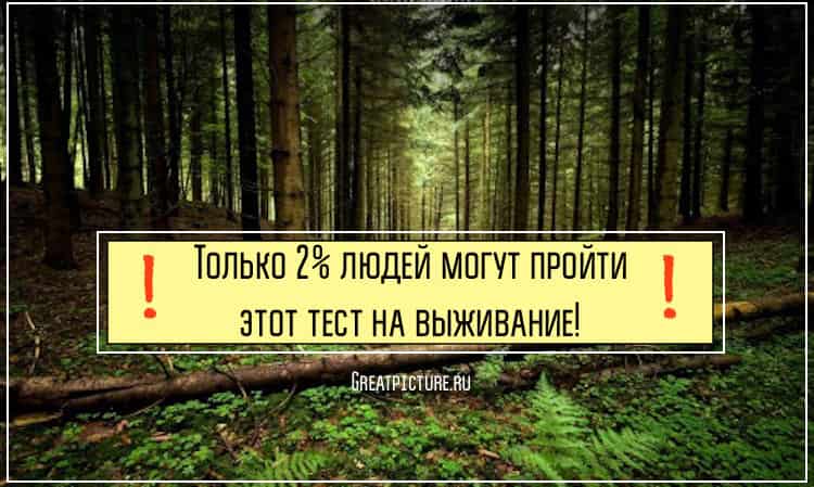 Только 2% людей могут пройти этот тест на выживание