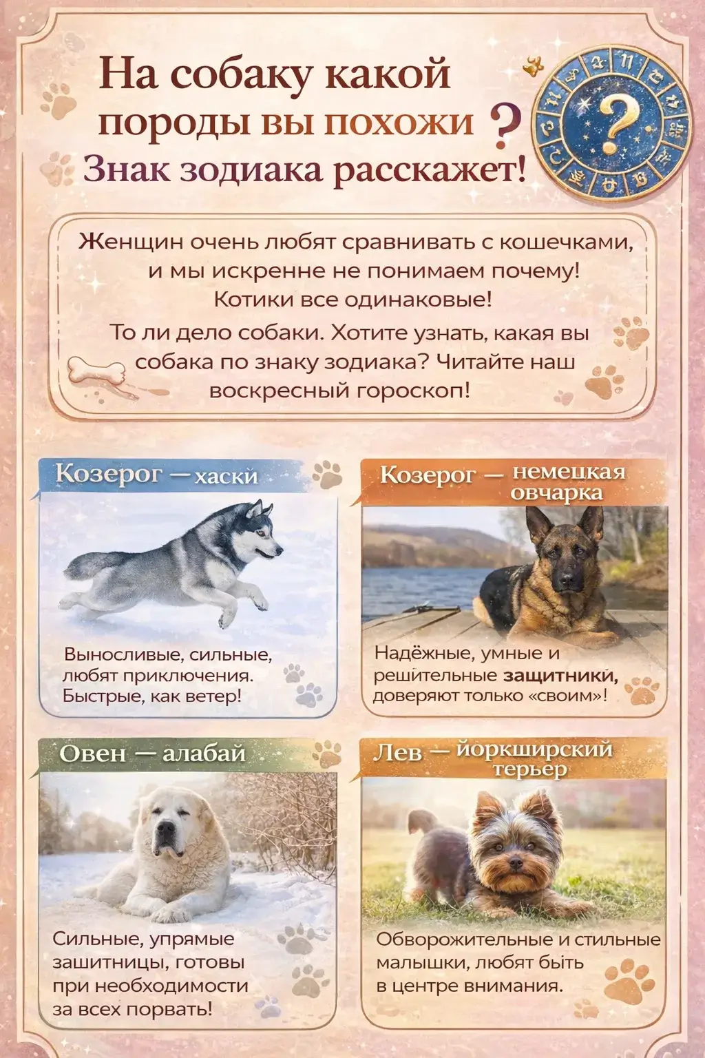 На собаку какой породы вы похожи?Знак зодиака расскажет!