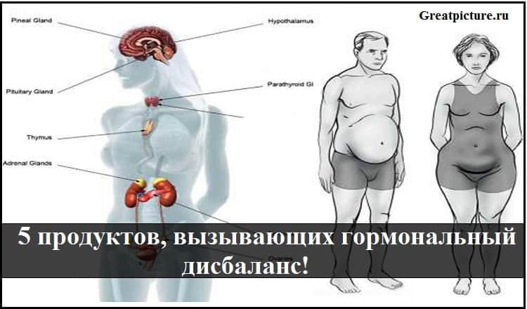 5 продуктов вызывающих гормональный дисбаланс!