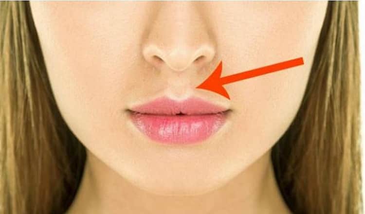 Почему у нас под носом есть губной желобок?Вы знаете об этом?