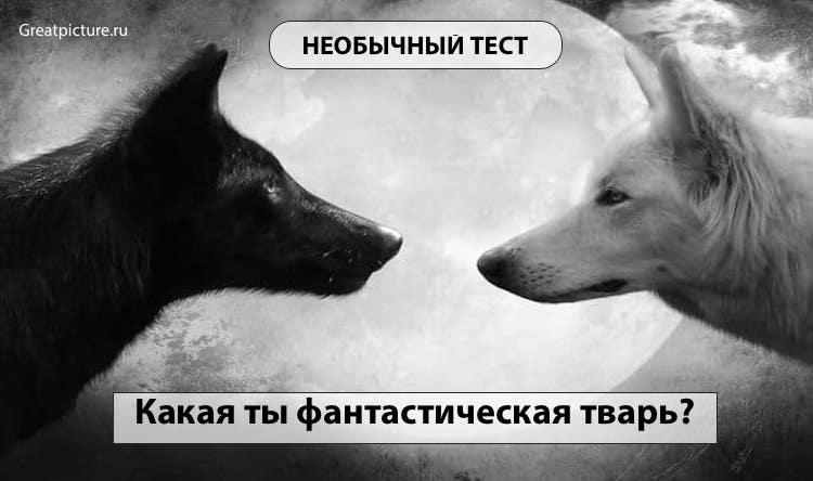 Тест.Какая ты фантастическая тварь? Ух, вот это да