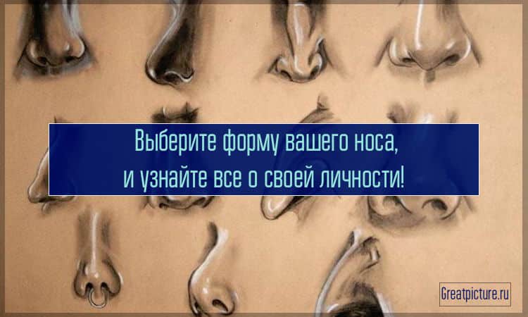 Выберите форму вашего носа, и узнайте все о своей личности