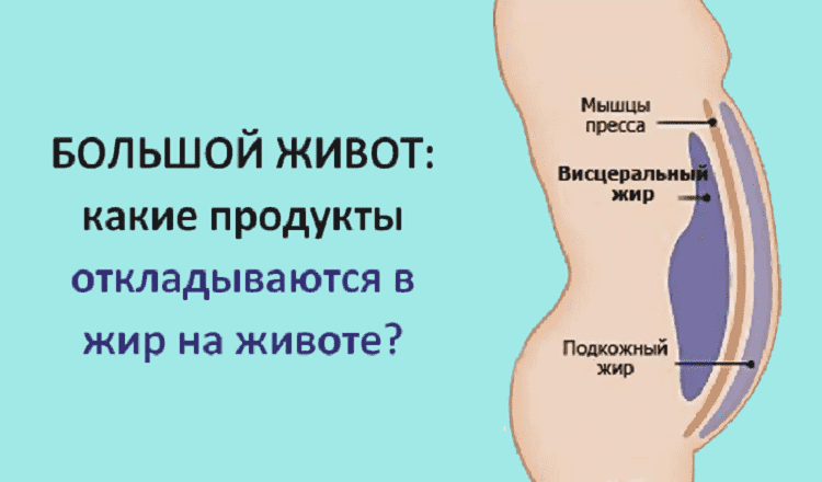 Большой живот: какие продукты провоцируют образование жира вокруг талии?