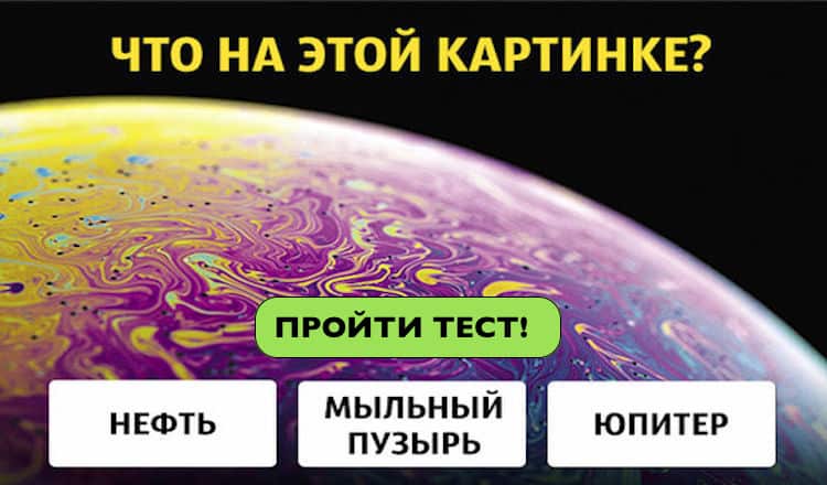 Только 1 человек из 50 может отгадать, что изображено на этих снимках