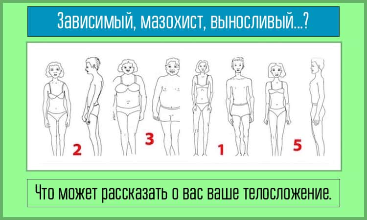 Что говорит о вас ваше телосложение.Зависимый,мазохист?