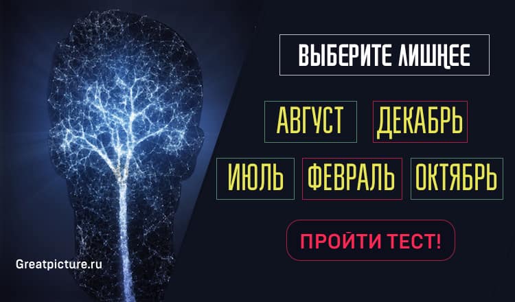 Только действительно креативные люди могут пройти этот тест на IQ! А вы