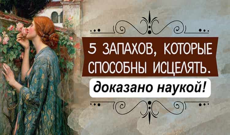 5 запахов которые способны исцелять. Доказано наукой!