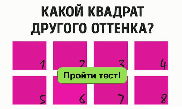 Этот визуальный тест смогут пройти только обладатели очень острого зрения!