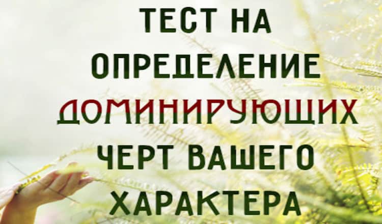 Тест который определит доминирующие черты вашей личности