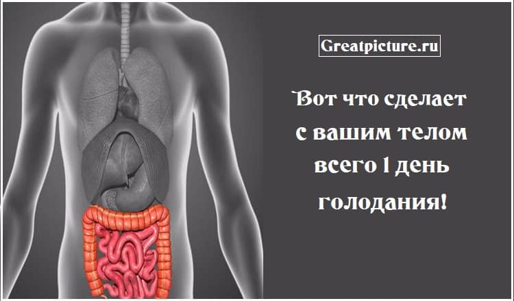 Вот что сделает с вашим телом всего 1 день голодания!