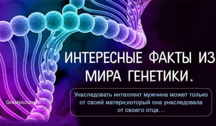 Интересные факты из мира генетики. Читать мужчинам и женщинам!