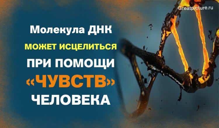 Молекула ДНК может исцелиться при помощи «ЧУВСТВ» человека