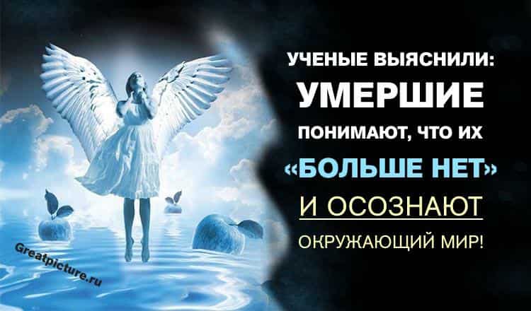 Ученые выяснили: умершие понимают, что их "больше нет" и осознают окружающий мир