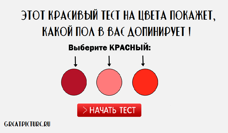 Этот красивый тест на цвета покажет, какой пол в вас доминирует!