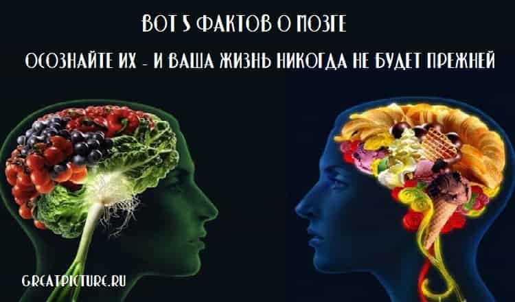 Вот 5 фактов о мозге. Осознайте их - и ваша жизнь никогда не будет прежней.