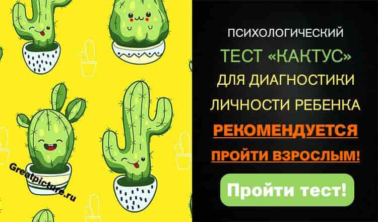 Психологический тест Кактус для диагностики личности ребенка. Взрослым тоже будет интересно пройти!