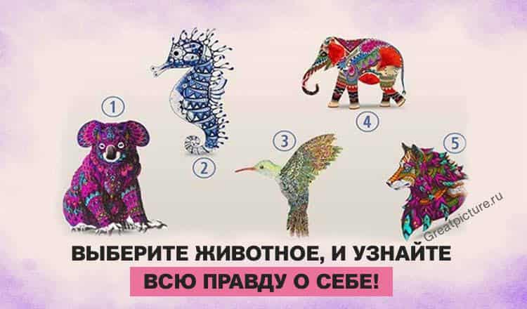 Тест: Выберите животное и узнайте всю правду о себе!