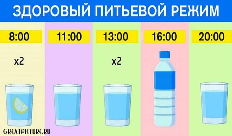 Как правильно пить воду по часам:ешь что хочешь, пей воду по часам