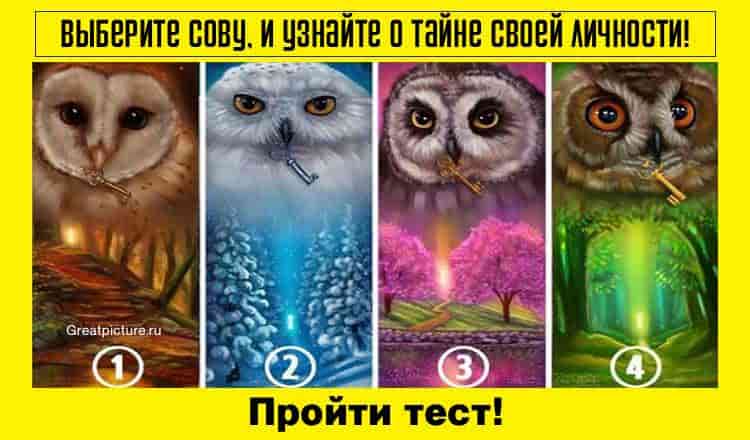 Выберите сову и узнайте о тайне своей личности!