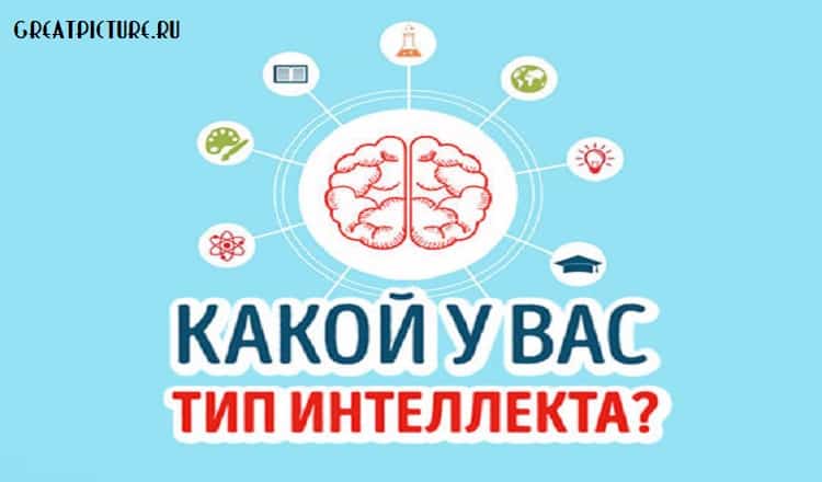 Тест: Какой тип интеллекта у вас больше развит?