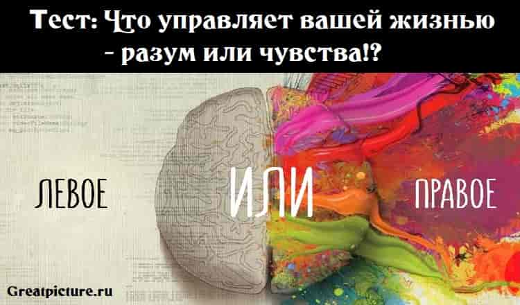 Тест: Что управляет вашей жизнью - разум или чувства!?