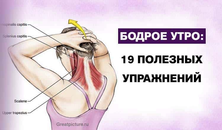 Бодрое утро: 19 полезных упражнений