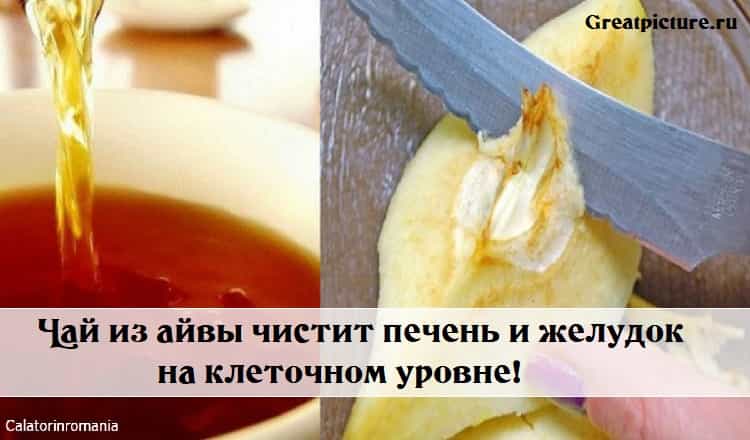 Чай из айвы чистит печень и желудок на клеточном уровне!