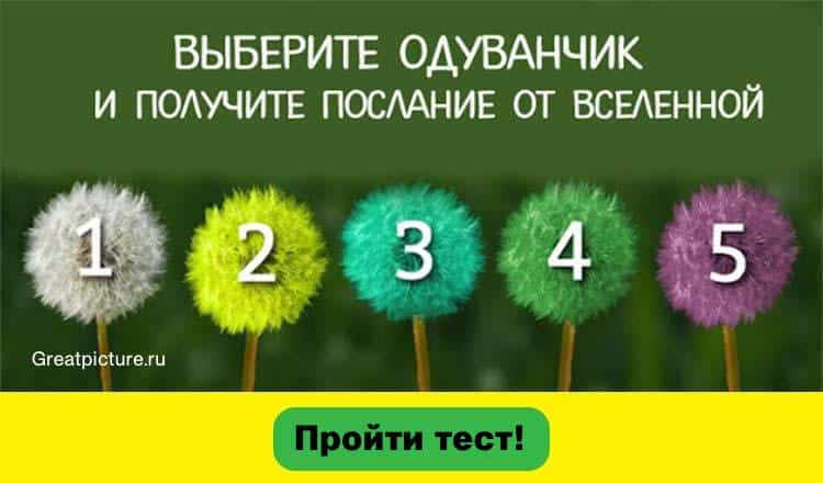 Выберите одуванчик и получите послание от Вселенной!