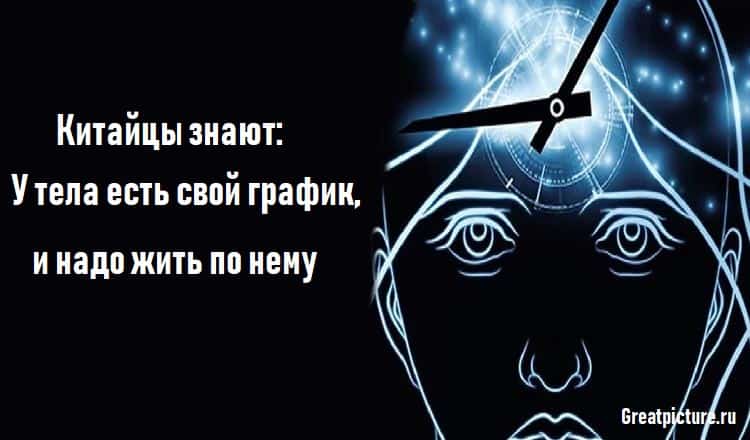 Китайцы знают: У тела есть свой график, и надо жить по нему