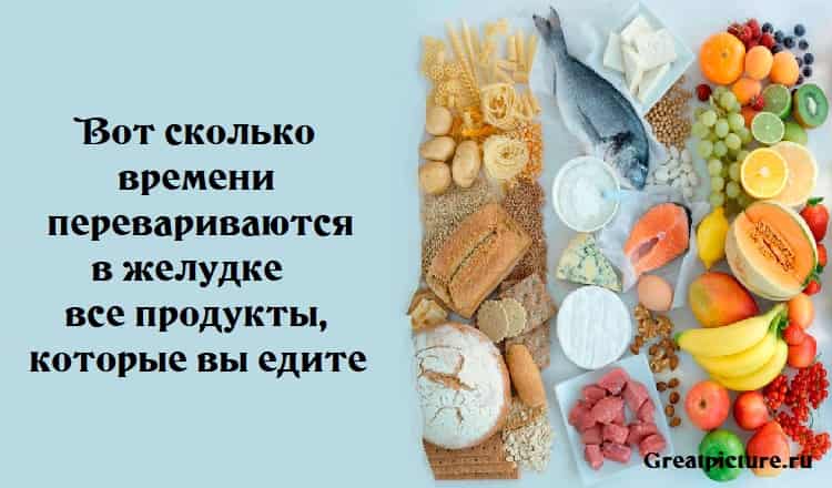 Вот сколько времени перевариваются в желудке все продукты, которые вы едите