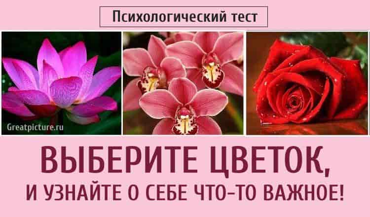 Тест. Выберите цветок, и узнайте о себе что-то важное!