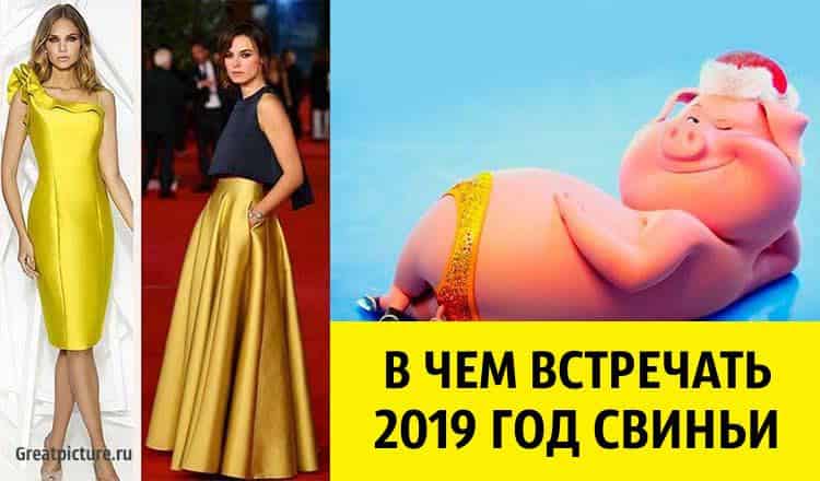 В чем встречать 2019 год Свиньи. Полезные советы